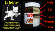 Le Mulot, misère, Nutella