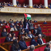 Assemblée nationale, débat, Gaza, israel, drapeau palestinien, Meyer Habib