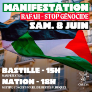 Manifestation, manif, Gaza, Palestine