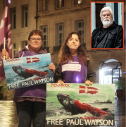 Paul Watson, détention, chasse à la baleine, Danemark, Japon