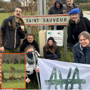 AVA, Saint-Sauveur, cerf, sauvé