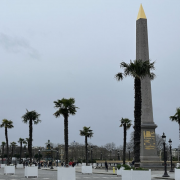 palmier, Paris, place, Concorde