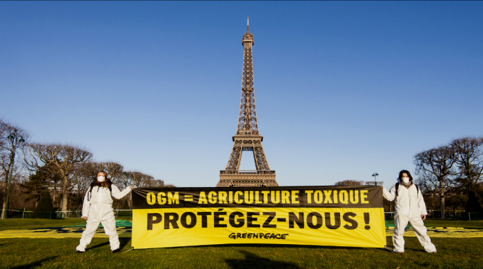 OGM : Greenpeace En Action Sur Le Champ De Mars